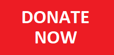 Donate Now