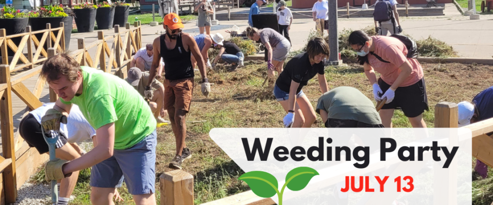 Weeding Party July 13